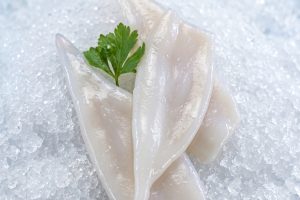 Calamar/Squid
